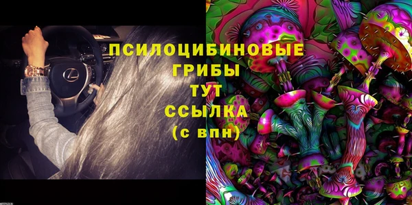 героин Алексин