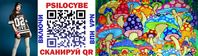 где купить наркотик  Елизаветинская  Псилоцибиновые грибы Cubensis 